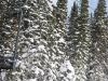 Steamboat 21